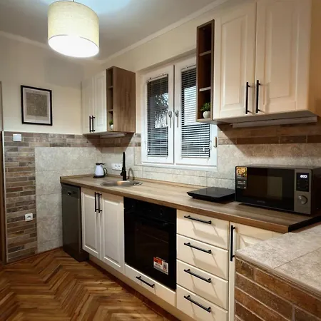 Royal - Private Parking, Garden And Terrace * Negotin